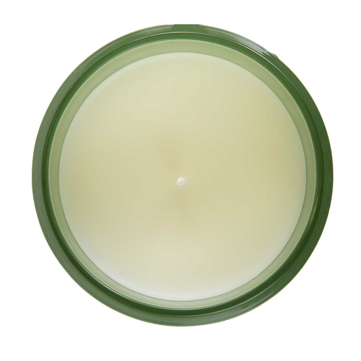 Pier 1 Apple Mint 8oz Boxed Soy Candle - Pier 1